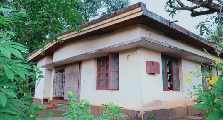 15cent land including house for sale in Adoor