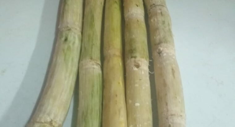 Sugarcane (Cut & Peeled and Packed)