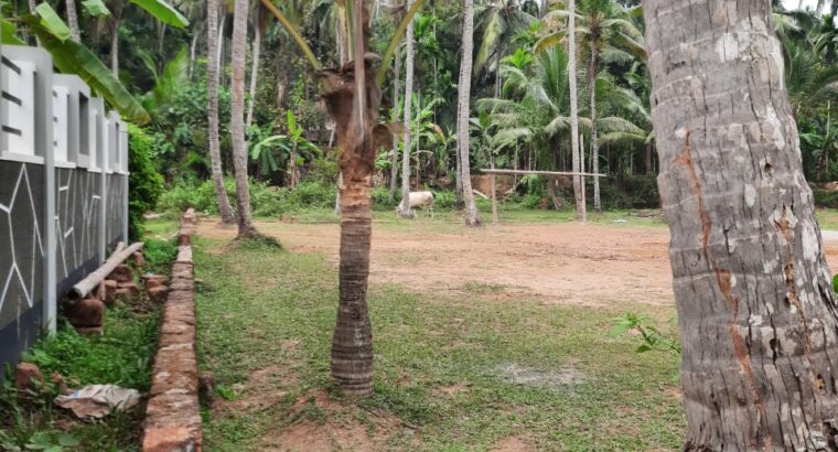 16 Cents Residential Land for sale at Pathiyarakka