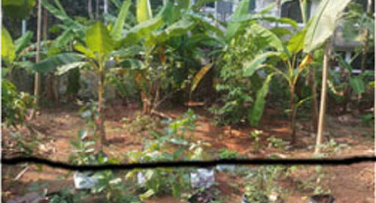 Urgent Sale of Residential Plot in Malaparamba