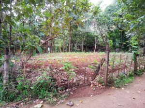 65 cents of land for sale in Velur Centre Thrissur
