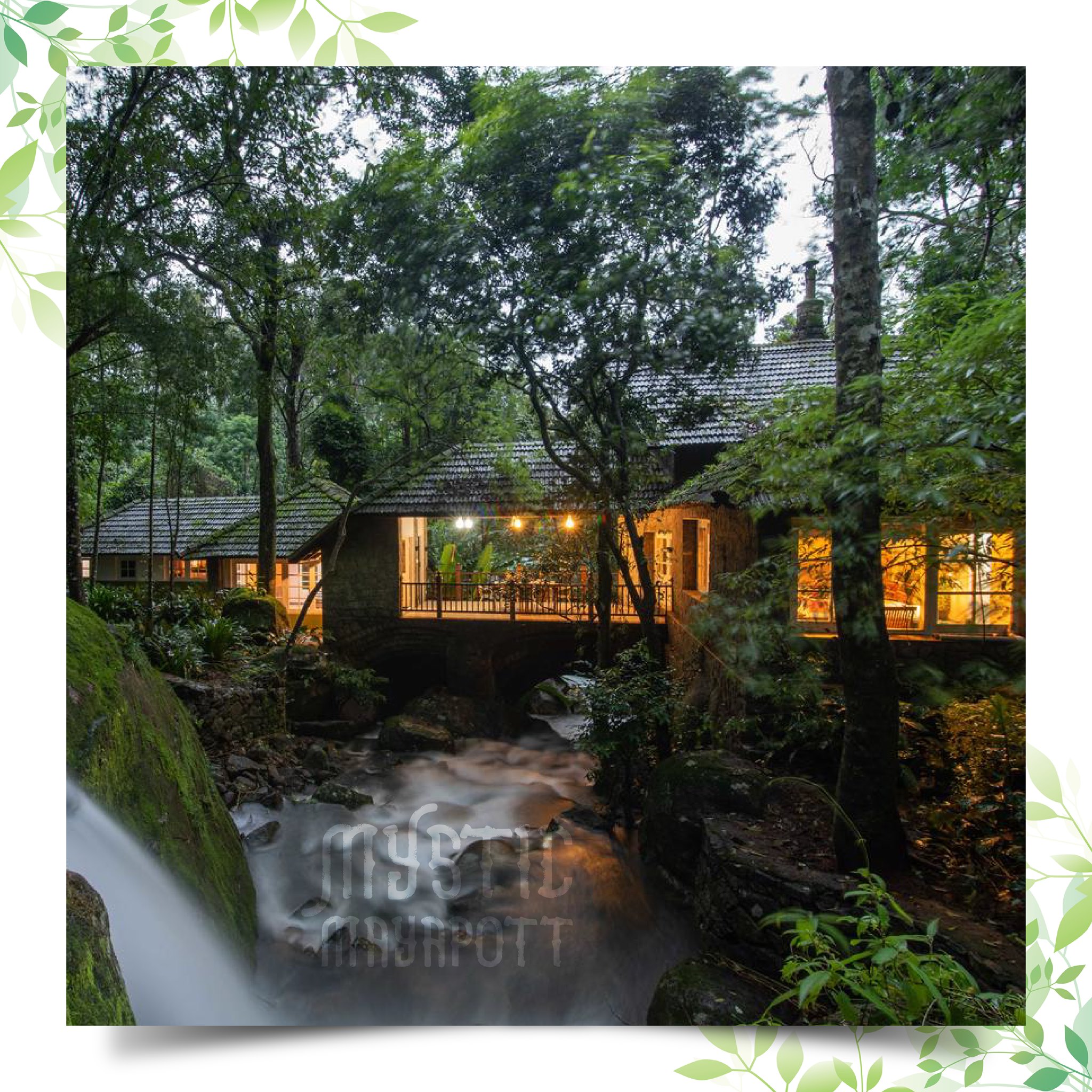 Experience the luxury Forest Stay at best price