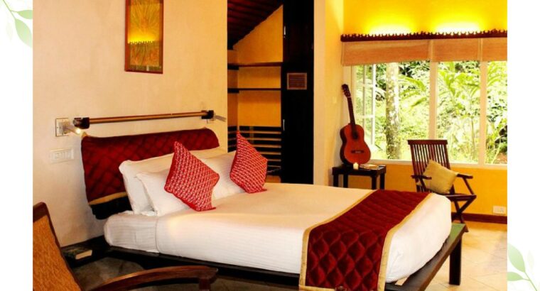 Experience the luxury Forest Stay at best price