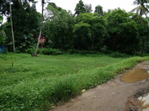 Residential land for sale Karthikapally, Harippad